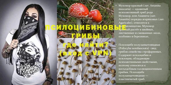 мдпв Болотное
