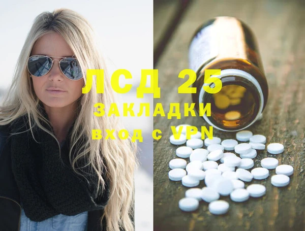 PSILOCYBIN Бородино