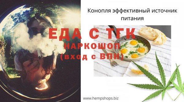 дмт Богородицк