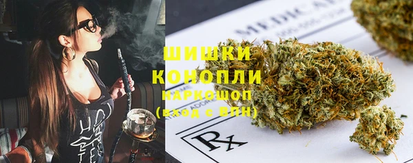 дмт Богданович