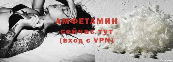 дмт Богданович