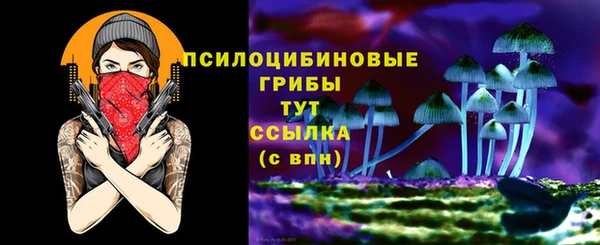 PSILOCYBIN Бородино